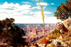 Grand Canyon on a luxury VIP tour