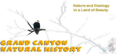 Tour Introduction to Grand Canyon Nature and Geology