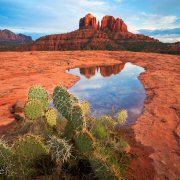 Cathedral Rock Scene