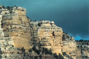 Grand Canyon tours from Williams az