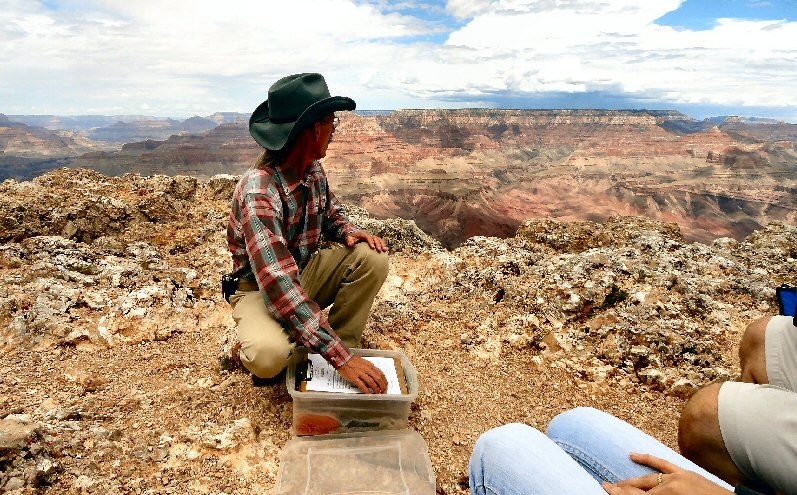 Grand Canyon Half Day Tours | south rim day tours