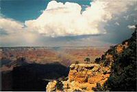 Black Bears on a Grand Canyon Upscale Tour