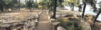 Rim Trail at Fossil Site