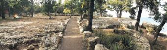 Rim Trail at Fossil Site